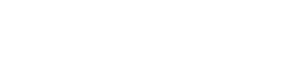 Shiny Fashionista